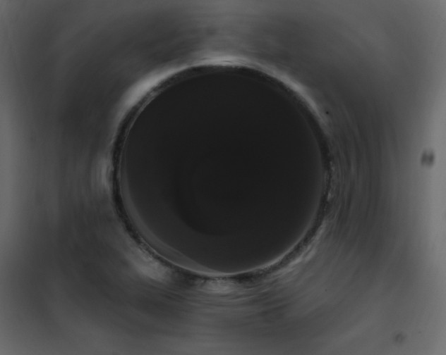 X0000102531319200808081442