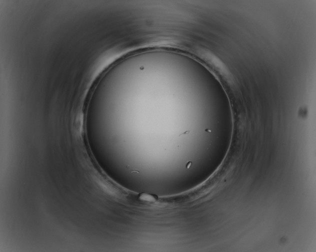 X0000102531324200808081442