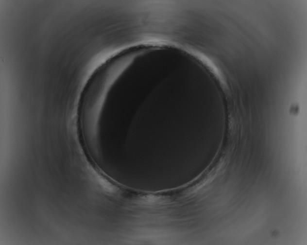 X0000102531327200808081442