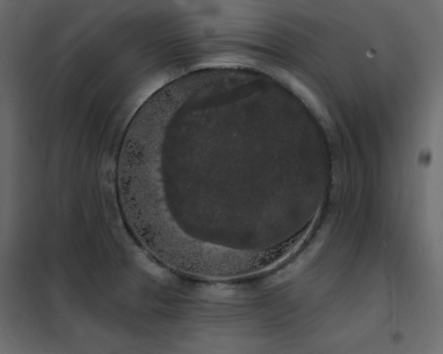 X0000102531329200808081442