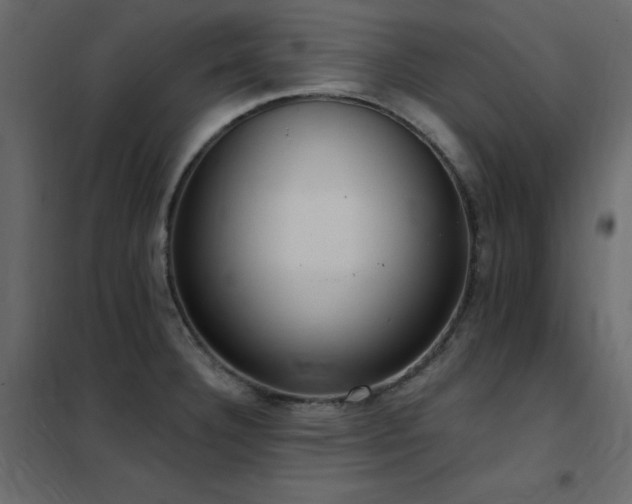 X0000102531332200808081442