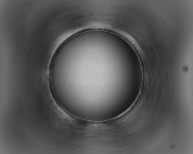 X0000102531335200808081442