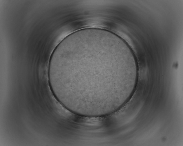 X0000102531338200808081442