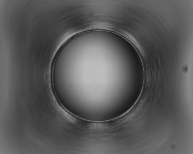 X0000102531339200808081442
