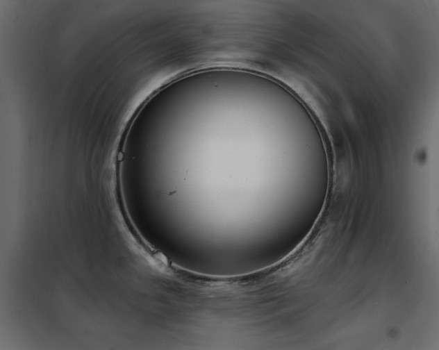 X0000102531341200808081442