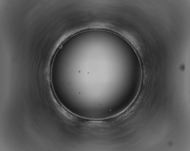 X0000102531342200808081442