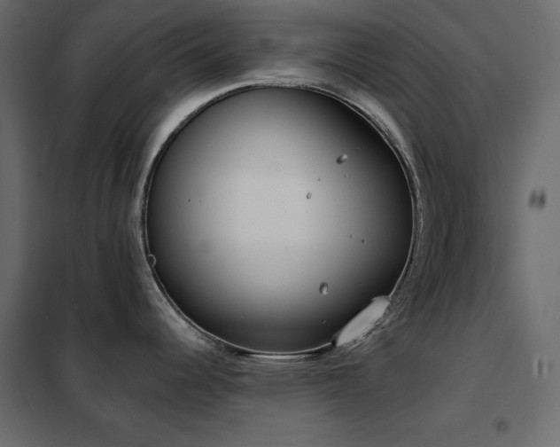 X0000102531344200808081442