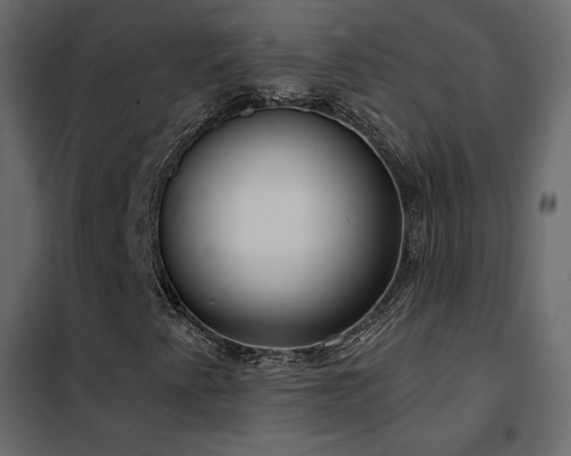 X0000102531345200808081441
