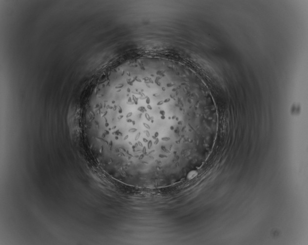 X0000102531346200808081441