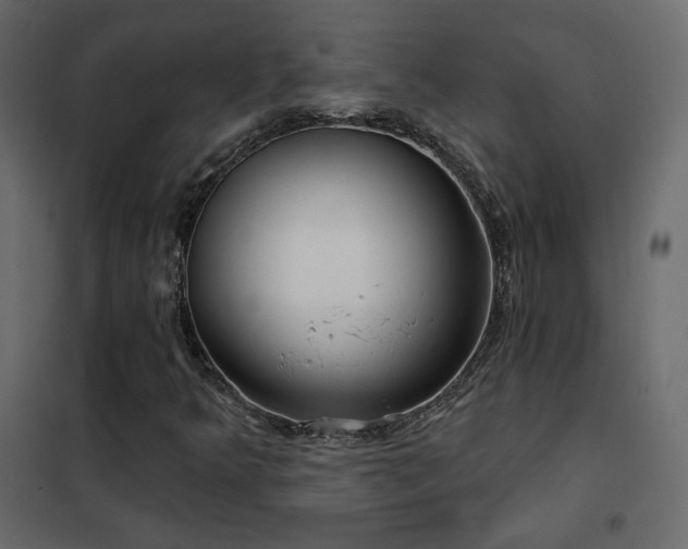 X0000102531349200808081441