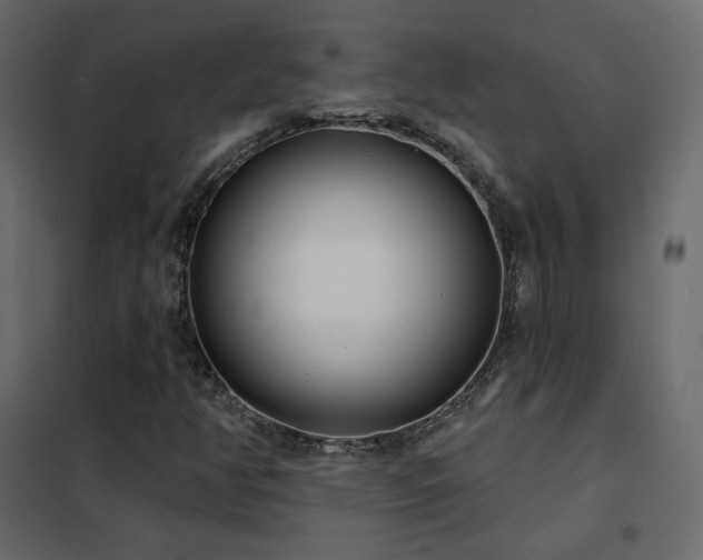 X0000102531350200808081441