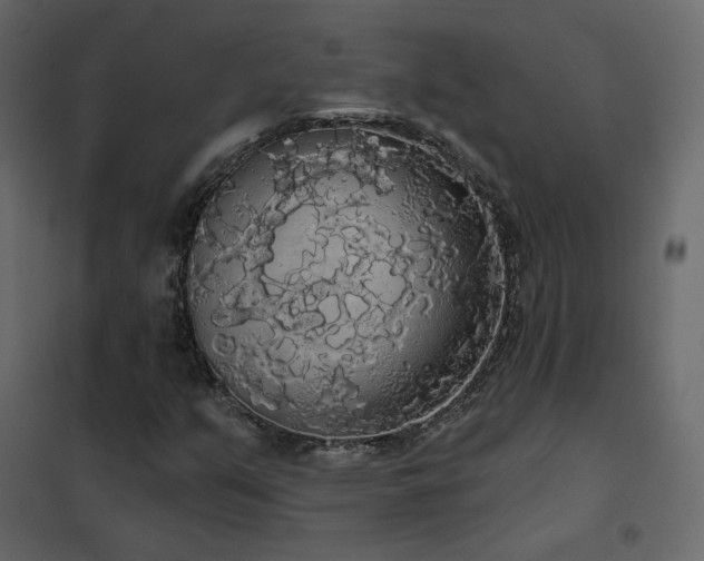 X0000102531351200808081441