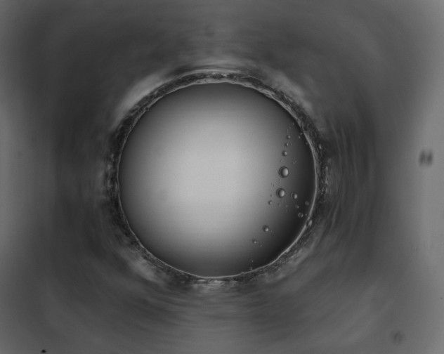 X0000102531352200808081441