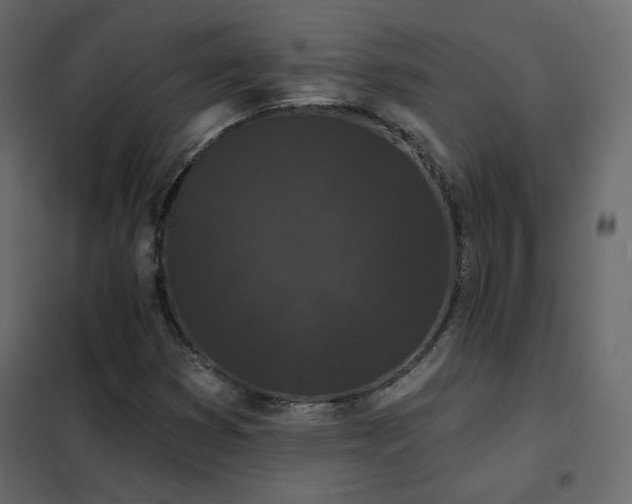 X0000102531353200808081441