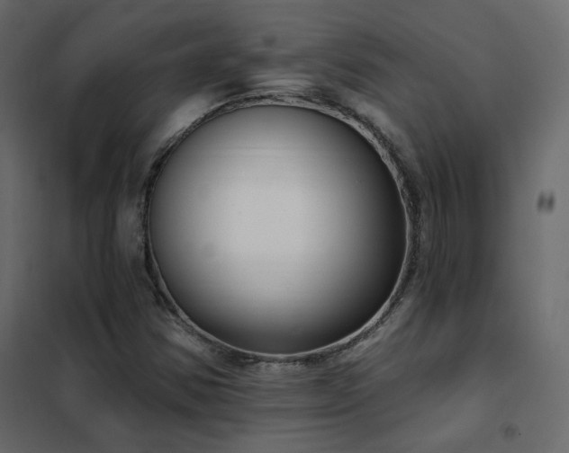 X0000102531354200808081441