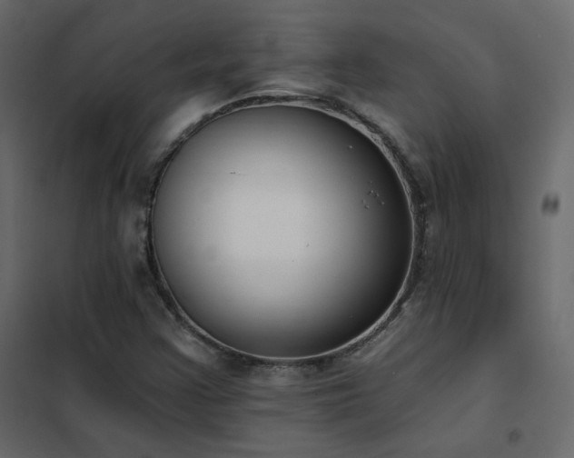 X0000102531355200808081441
