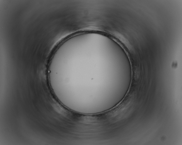 X0000102531356200808081441