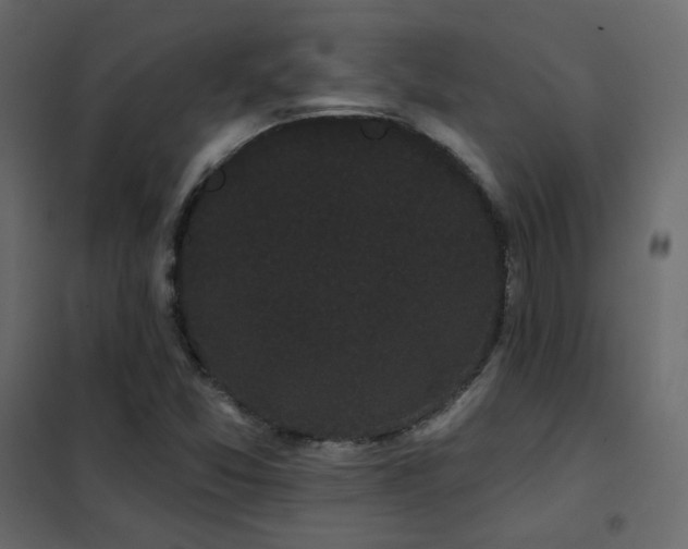 X0000102531357200808081441