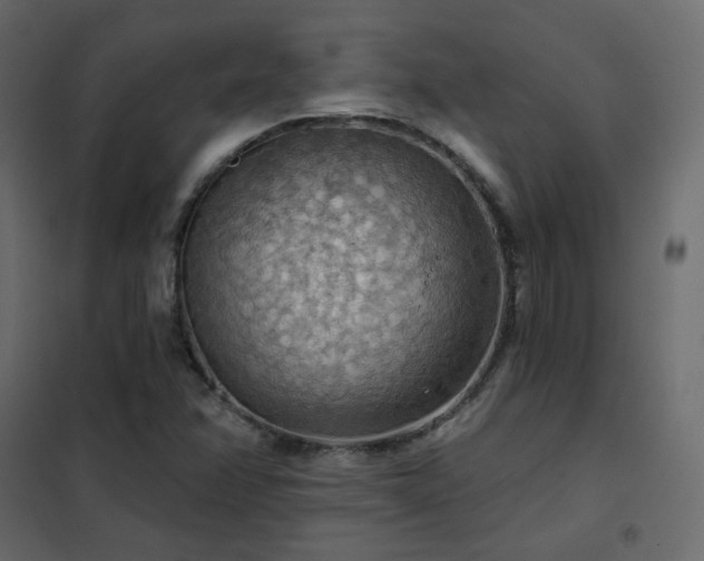 X0000102531358200808081441