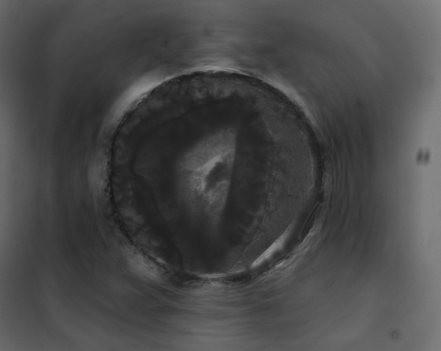 X0000102531359200808081441