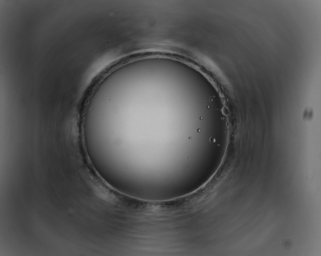 X0000102531360200808081441