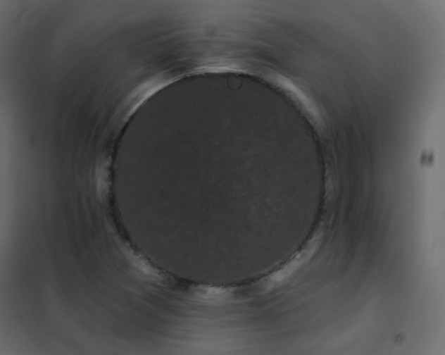 X0000102531361200808081441