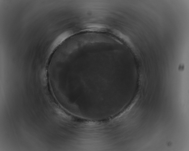 X0000102531362200808081441