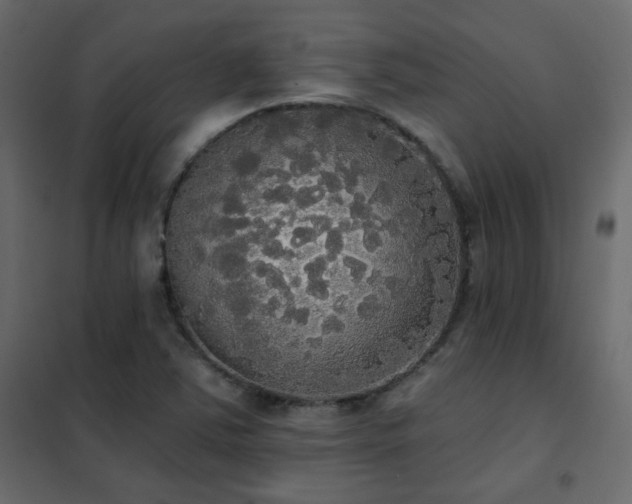 X0000102531363200808081441