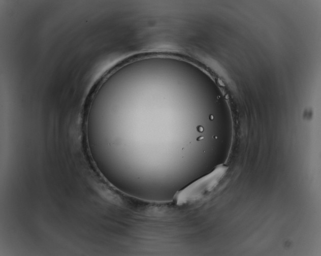 X0000102531364200808081441