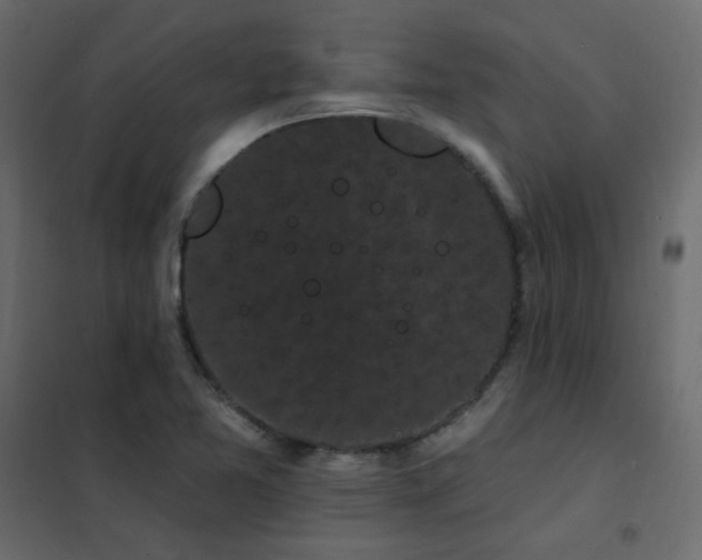 X0000102531365200808081441