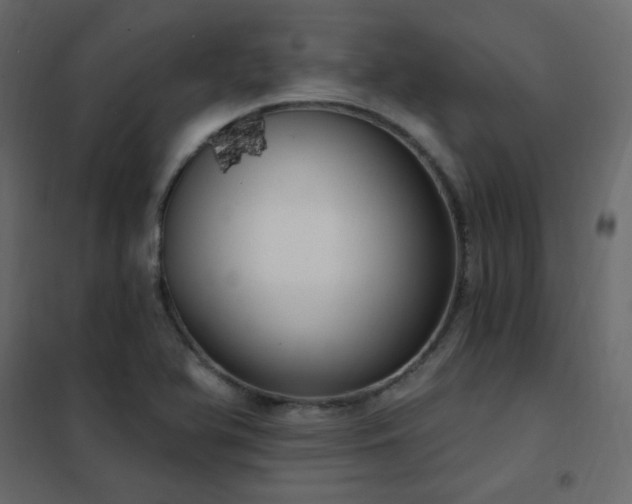 X0000102531366200808081441