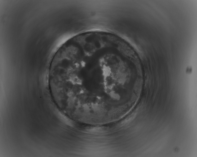 X0000102531367200808081441