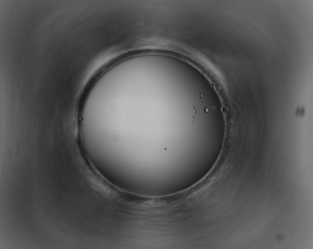 X0000102531368200808081441