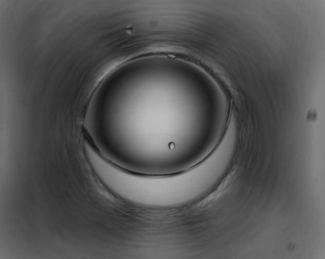 X0000102531369200808081441