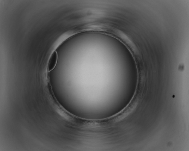 X0000102531370200808081441