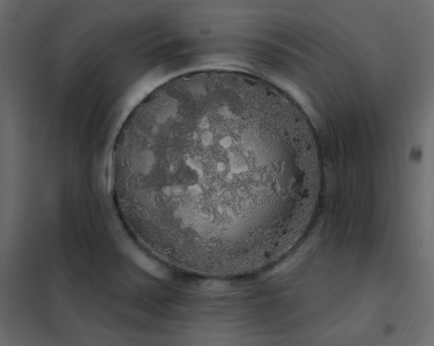 X0000102531371200808081441
