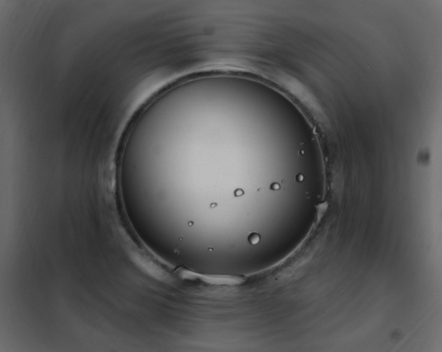 X0000102531372200808081441