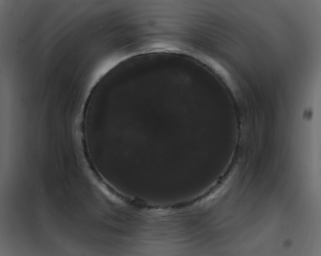 X0000102531373200808081441