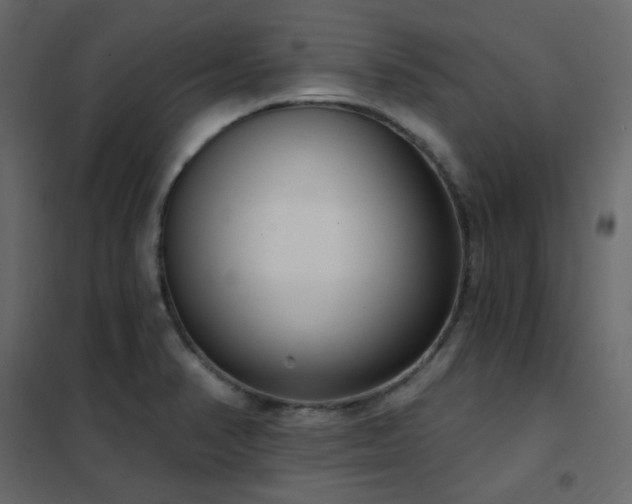X0000102531374200808081441