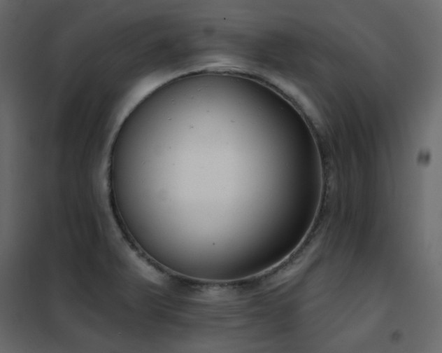 X0000102531375200808081441