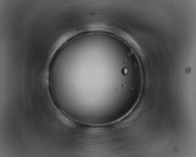 X0000102531376200808081441