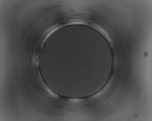 X0000102531377200808081441
