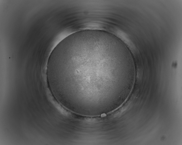 X0000102531378200808081441