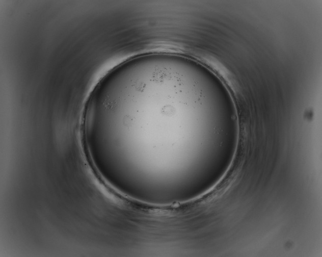 X0000102531379200808081441