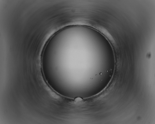 X0000102531380200808081441