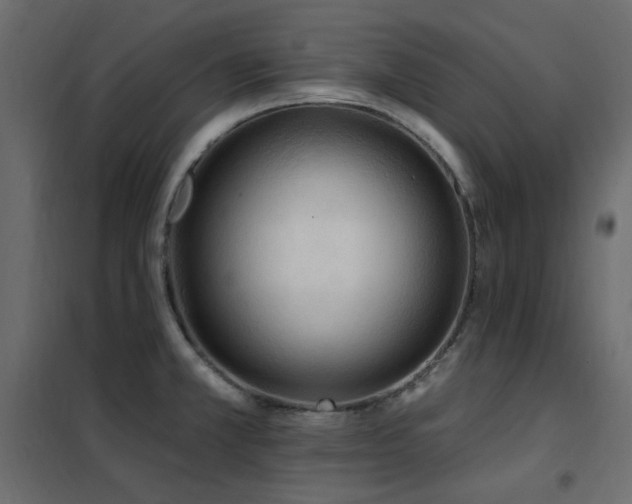 X0000102531381200808081441