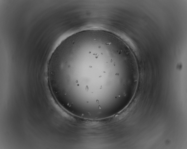 X0000102531382200808081441