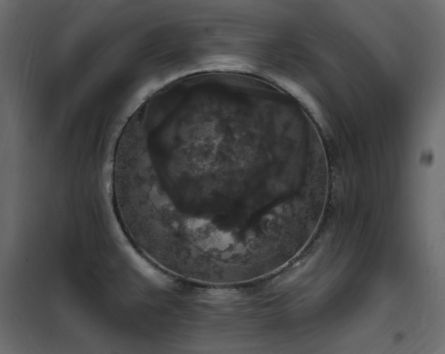 X0000102531383200808081441
