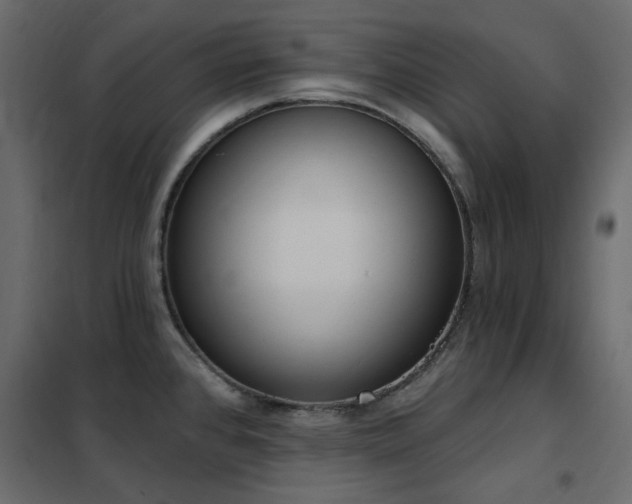 X0000102531384200808081441