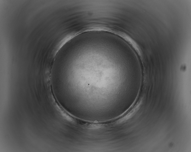 X0000102531385200808081441